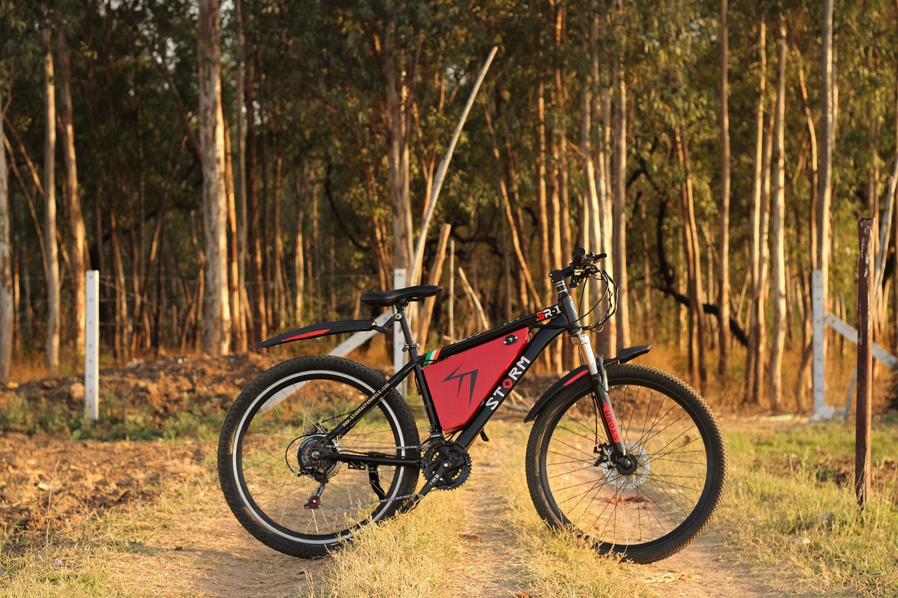 De nieuwste trends en innovaties in de wereld van e-bikes en Stromer fietsen